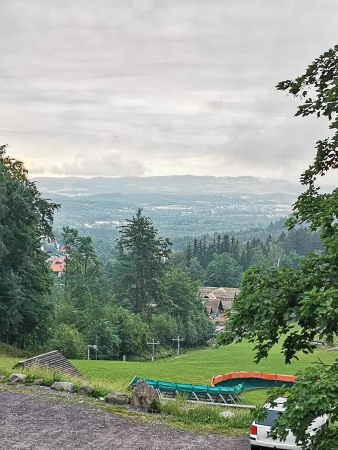 Apartament Przy Stoku Wilcza Karpacz Lejlighed