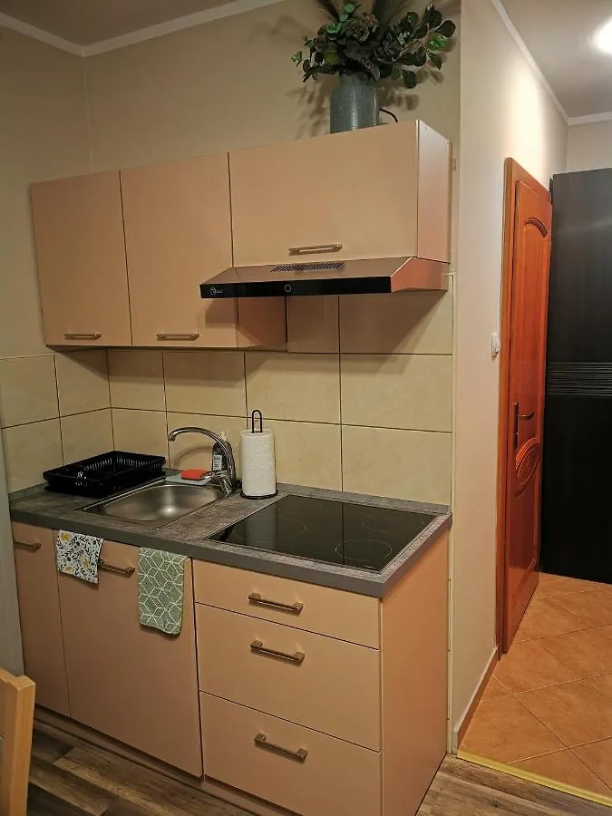 Apartament Przy Stoku Wilcza Karpacz Lejlighed
